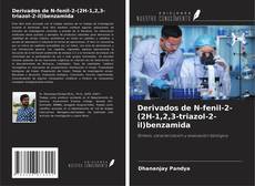 Bookcover of Derivados de N-fenil-2-(2H-1,2,3-triazol-2-il)benzamida