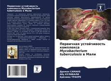 Bookcover of Первичная устойчивость комплекса Mycobacterium tuberculosis в Мали