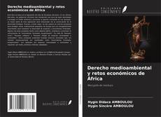 Bookcover of Derecho medioambiental y retos económicos de África