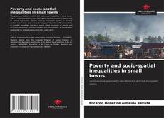 Couverture de Poverty and socio-spatial inequalities in small towns