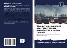 Бедность и социально-пространственное неравенство в малых городах kitap kapağı