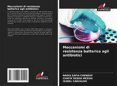 Capa do livro de Meccanismi di resistenza batterica agli antibiotici 