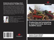Portada del libro de Producing and promoting a local Beninese delicacy: VLAKPA sauce
