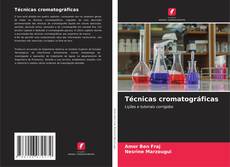 Bookcover of Técnicas cromatográficas