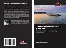 Uso del telerilevamento e del GIS的封面