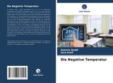Couverture de Die Negative Temperatur