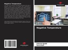 Capa do livro de Negative Temperature 
