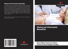 Buchcover von Maternal-Perinatal Benefits