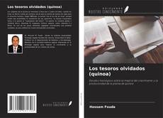 Buchcover von Los tesoros olvidados (quinoa)