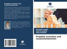 Projekte erreichen und zusammenbrechen的封面