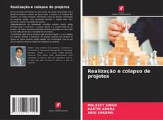 Realização e colapso de projetos的封面