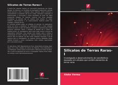 Silicatos de Terras Raras-I的封面