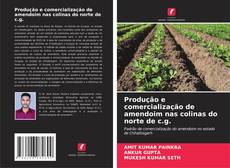 Buchcover von Produção e comercialização de amendoim nas colinas do norte de c.g.