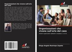 Portada del libro de Organizzazioni che vivono sull'orlo del caos