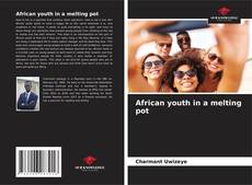 Bookcover of African youth in a melting pot