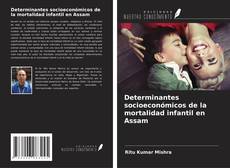 Buchcover von Determinantes socioeconómicos de la mortalidad infantil en Assam