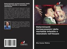 Copertina di Determinanti socioeconomici della mortalità infantile e neonatale nell'Assam