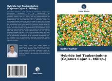 Hybride bei Taubenbohne (Cajanus Cajan L. Millsp.)的封面