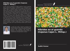 Bookcover of Híbridos en el guandú (Cajanus Cajan L. Millsp.)