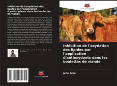 Buchcover von Inhibition de l'oxydation des lipides par l'application d'antioxydants dans les boulettes de viande