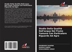 Studio Della Qualità Dell'acqua Del Fiume Yamuna Con Particolare Riguardo Ad Agra的封面