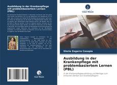 Ausbildung in der Krankenpflege mit problembasiertem Lernen (PBL)的封面