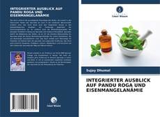 Copertina di INTEGRIERTER AUSBLICK AUF PANDU ROGA UND EISENMANGELANÄMIE