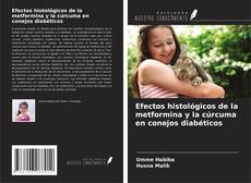Capa do livro de Efectos histológicos de la metformina y la cúrcuma en conejos diabéticos 