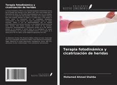 Borítókép a  Terapia fotodinámica y cicatrización de heridas - hoz