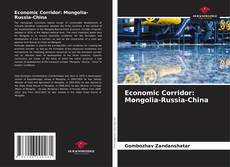 Economic Corridor: Mongolia-Russia-China kitap kapağı