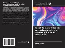 Buchcover von Papel de la modificación postraduccional en la tirosina quinasa de mamíferos