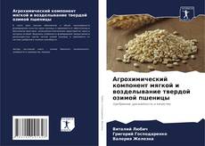 Capa do livro de Агрохимический компонент мягкой и возделывание твердой озимой пшеницы 