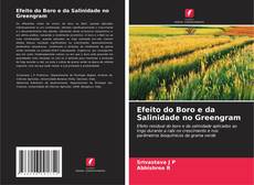 Buchcover von Efeito do Boro e da Salinidade no Greengram