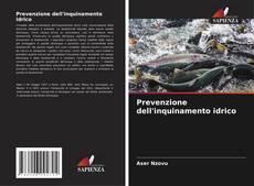 Borítókép a  Prevenzione dell'inquinamento idrico - hoz