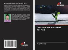 Borítókép a  Gestione dei nutrienti nel riso - hoz