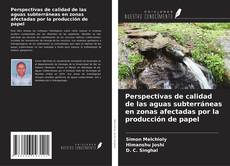 Bookcover of Perspectivas de calidad de las aguas subterráneas en zonas afectadas por la producción de papel