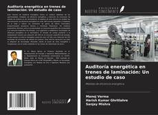 Bookcover of Auditoría energética en trenes de laminación: Un estudio de caso