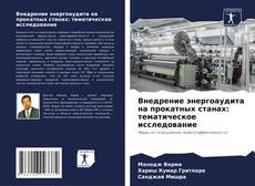 Portada del libro de Внедрение энергоаудита на прокатных станах: тематическое исследование