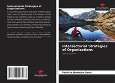 Capa do livro de Intersectorial Strategies of Organizations 