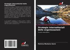 Capa do livro de Strategie intersettoriali delle organizzazioni 