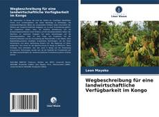 Portada del libro de Wegbeschreibung für eine landwirtschaftliche Verfügbarkeit im Kongo