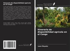 Buchcover von Itinerario de disponibilidad agrícola en el Congo