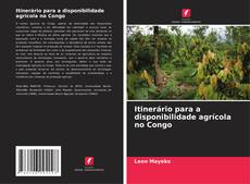 Buchcover von Itinerário para a disponibilidade agrícola no Congo