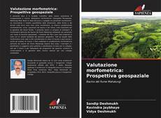 Borítókép a  Valutazione morfometrica: Prospettiva geospaziale - hoz