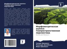 Bookcover of Морфометрическая оценка: Геопространственная перспектива