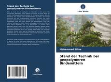 Copertina di Stand der Technik bei geopolymeren Bindemitteln