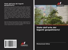 Borítókép a  Stato dell'arte dei leganti geopolimerici - hoz