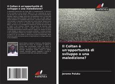 Il Coltan è un'opportunità di sviluppo o una maledizione? kitap kapağı