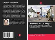 Bookcover of Pandemia e sem-abrigo
