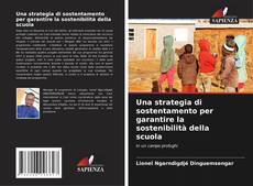 Bookcover of Una strategia di sostentamento per garantire la sostenibilità della scuola